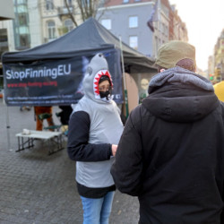 Brüssel