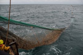 Fischfang 9