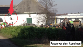 Jagd 1