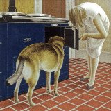 Towards an Animal-Friendly Democracy