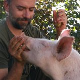 Schwein Anna: neues VGT-Video zeigt die Verletzungen durch den Vollspaltenboden