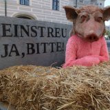 VGT mit Stroh und Vollspaltenboden zum Ministerrat vor Bundeskanzleramt