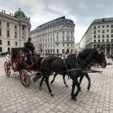 Scheitert anvisierte Hitzefrei-Lösung für Fiaker an kindischem Polit-Hickhack?