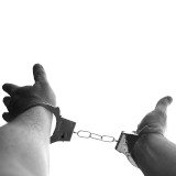 Einladung: Aktion zu rechtswidrigen Festnahmen von Tierschützern im Schweinekostüm