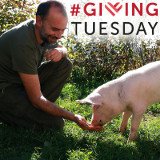 Giving Tuesday