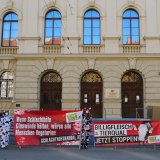 Gammel-Schlachthof-Prozess: Brisante Zeugenaussagen!