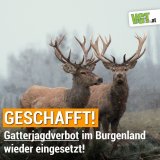 Burgenland: SPÖ hat jetzt die Aufhebung der Aufhebung des Gatterjagdverbots beschlossen