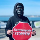 Einladung: Stummer Protest von Tierschützer:innen anlässlich Tiertransport-Schiffs-Tragödien