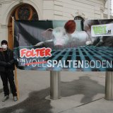Angelobung neuer Tierschutzminister Mückstein: offener Brief von Tierschutzorganisationen