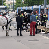 Fiakerpferd am Ring tödlich verunglückt - VGT fordert Verbot