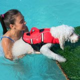 Swimming Pools: Gefahr für Tiere