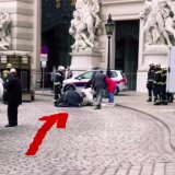 Fiaker-Drama: Schon wieder ist ein Pferd kollabiert