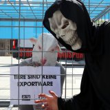 Tiertransporte im Kreuzfeuer: Sensenmann am Stephansplatz