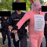 VGT korrigiert die völlige Falschdarstellung der LPD-OÖ zu 7 Tierschutz-Festnahmen