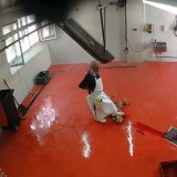 Schächt-Skandal – Videos beweisen Behördenversagen