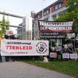 Welttierschutztag: Protest wegen Skandal-Schlachthofs
