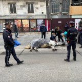 Es reicht! Schon wieder kollabiert Fiakerpferd in Wien