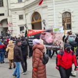 VGT erinnert Nehammer bei Angelobung an die notwendigen Fortschritte im Tierschutz