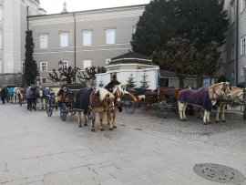 Fiaker in Salzburg