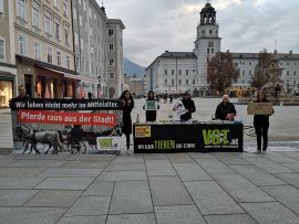 Infostand