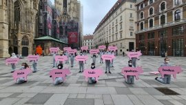 Aktion Pappschweine