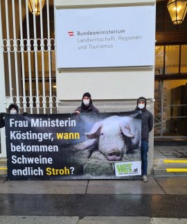Demonstration