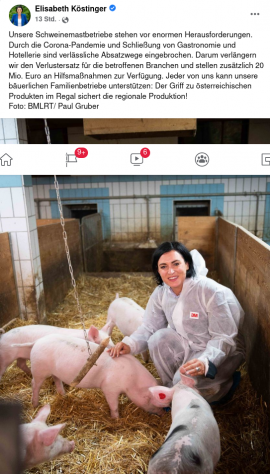 Köstinger mit Stroh-Schweinen