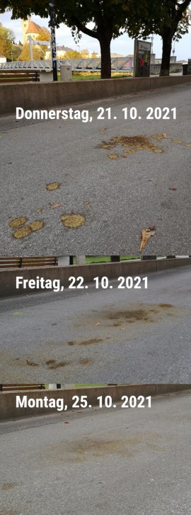 Straßenverschmutzung durch Fiaker