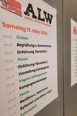 Programm