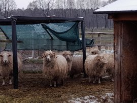 Hilfsprojekt 4