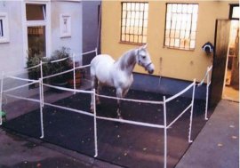 Fiakerpferd 1