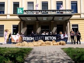 Tierschützer:innen vor der Landwirtschaftkammer Kärnten
