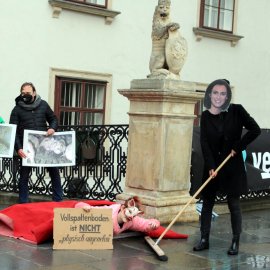 Ein leidendes Schwein wird buchstäblich unter den Teppich gekehrt.