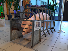 Ein Plastik-Schwein im Kastenstand.