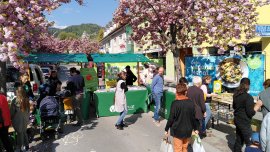 Biofest 1