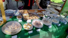 Biofest 3