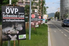 Beschilderung entlang der Straße