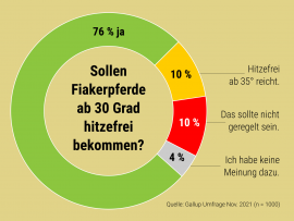 Umfrage 1