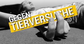 Sujet Tierversuchs-Aktion 