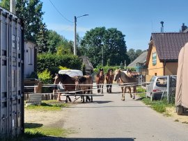 Hilfsprojekt 1