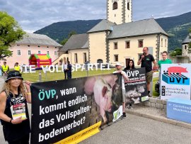 Eine bunte Kundgebung stellt die großen Partei-Buchstaben in den Schatten.