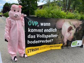 Schweinekostüm