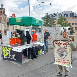Infostand mit Aktivist:innen