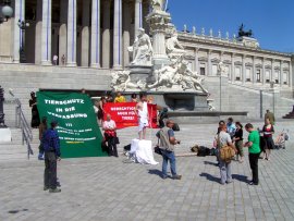 Medienaktion vor dem Parlament in Wien