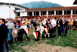 Die Tierquäler:innen mit den Widdern.