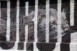 Graffito 2