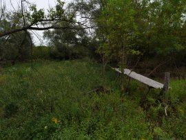 Teich 1