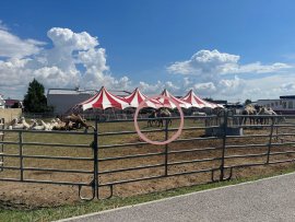 Zirkus 2
