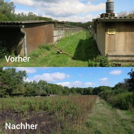 Vergleich 3