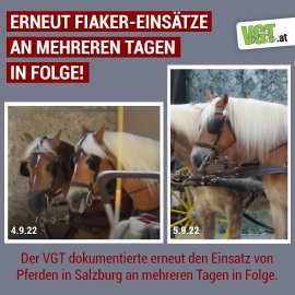 Fiaker 1